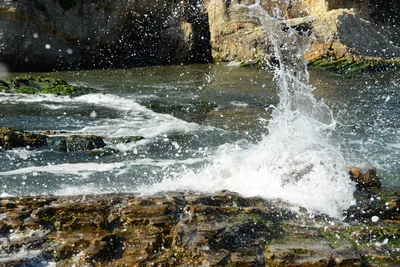 DSC_2711 (Large).JPG